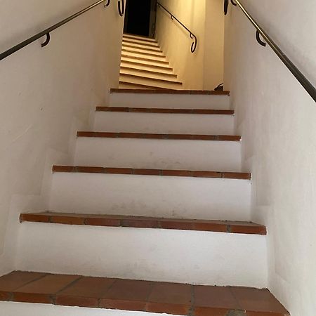 La Ginestra - Terrazza Apartment Orciatico ภายนอก รูปภาพ